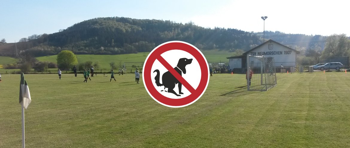 Der Sportplatz ist kein Hundeplatz