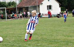 2016-06-25 F-Jugend-Turnier