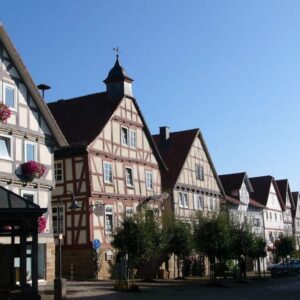 Mittwoch, 29.07.26 Neumorschen: Den Insekten auf der Spur & Tennis